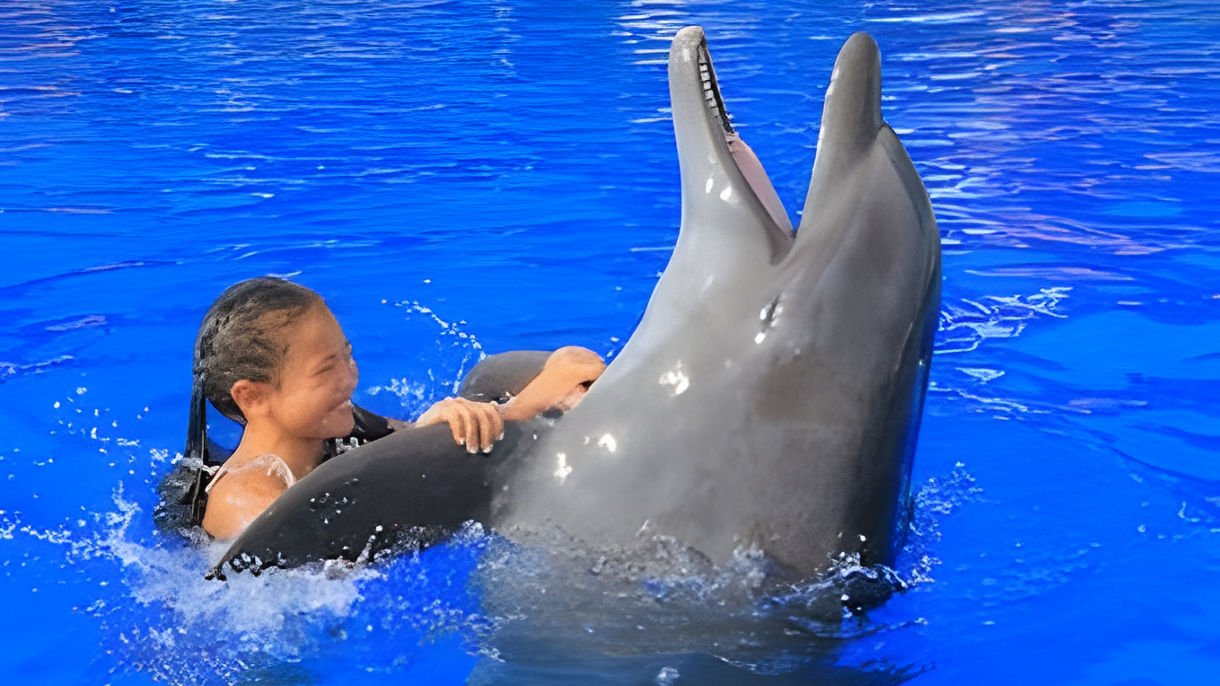 Dolphin Swim & Lunch