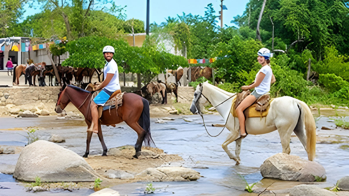 Speedboat, Horseback Ride, Snorkel & Lunch