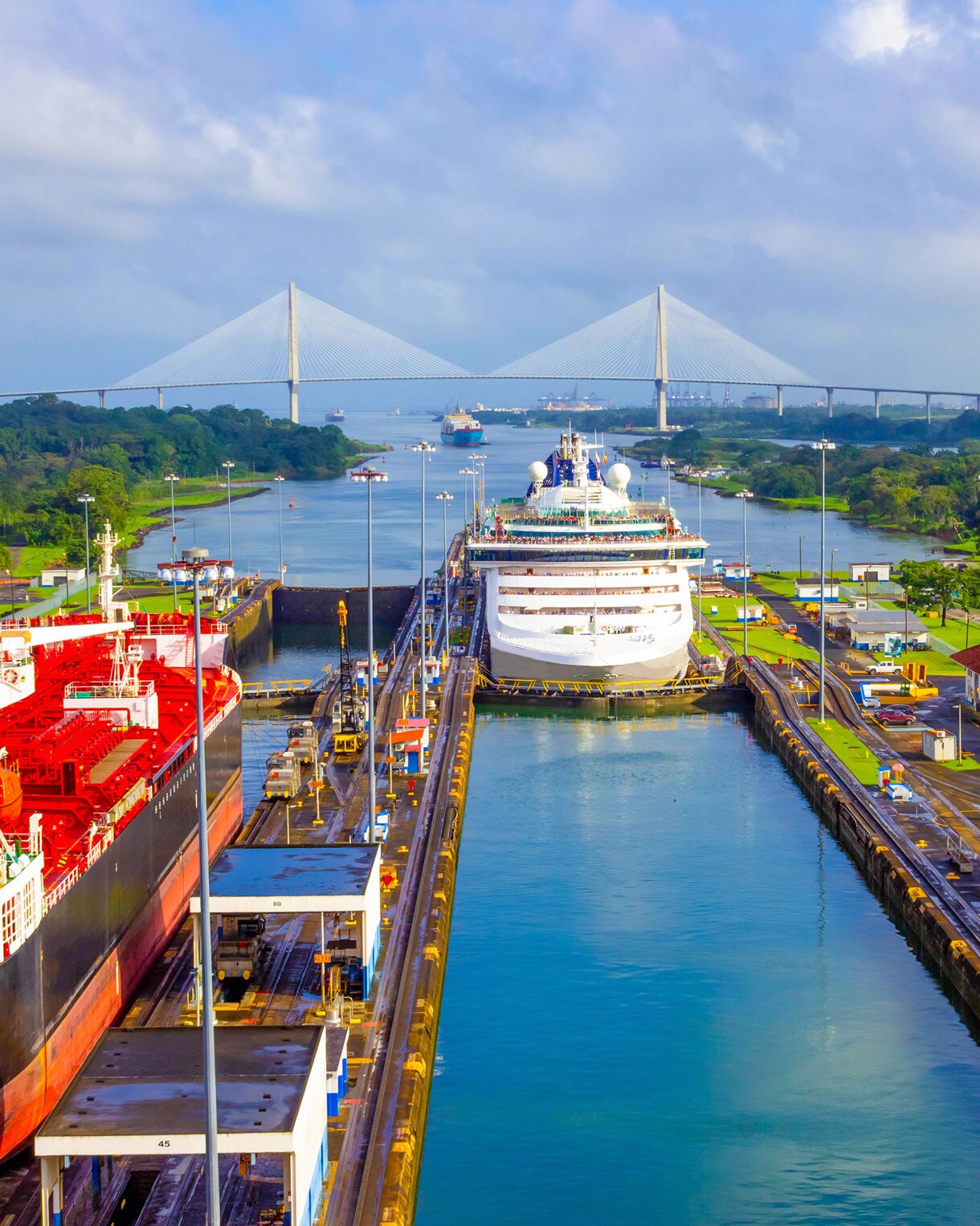 Large cruise ship and cargo vessel passing through the Panama Canal locks with the Centennial Bridge and lush greenery in the background.