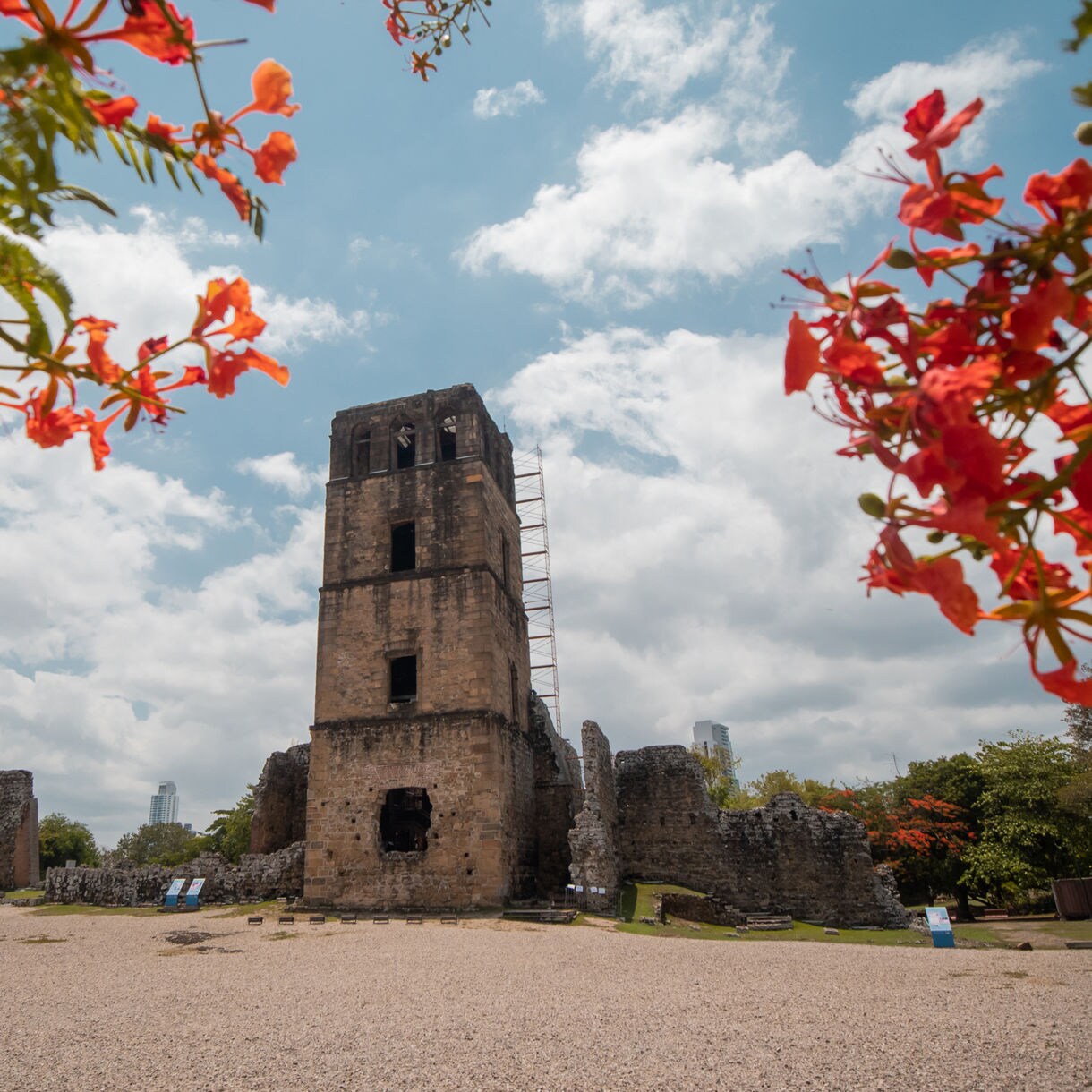 Stone tower ruins of Panamá Viejo framed by red flowers, with scattered walls and modern city buildings visible in the background.
