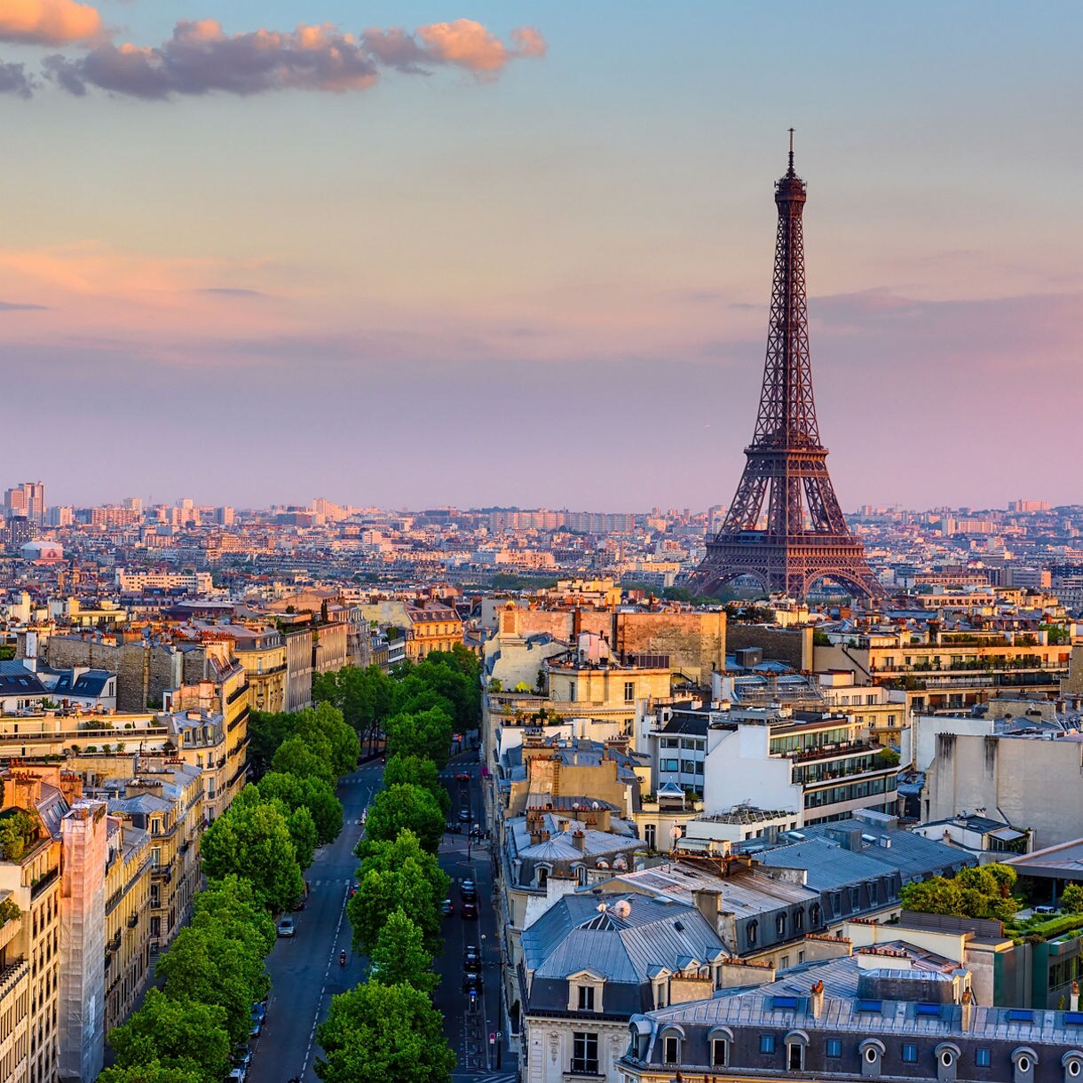 Elevated cityscape view of Paris at sunset showing the majestic Eiffel Tower rising over dense rows of classic buildings, a tree-lined avenue stretching through the center and a soft pink sky dusted with warm clouds.