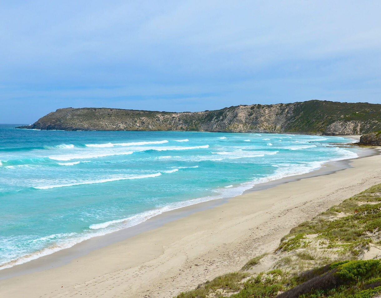 Turquoise ocean waves breaking along a wide sandy beach bordered by grassy dunes and rocky cliffs.