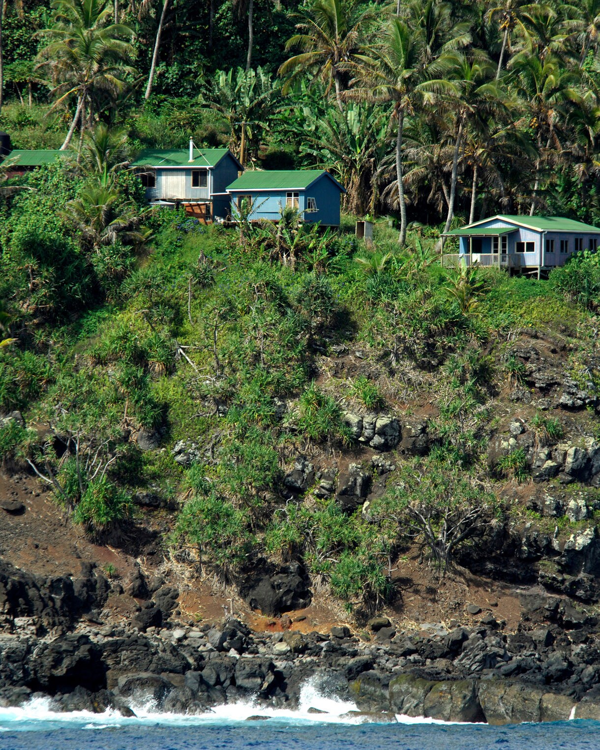 Several small houses with green roofs perched on a steep, rocky hillside thick with palm trees and dense vegetation, above waves breaking against dark volcanic shoreline.
