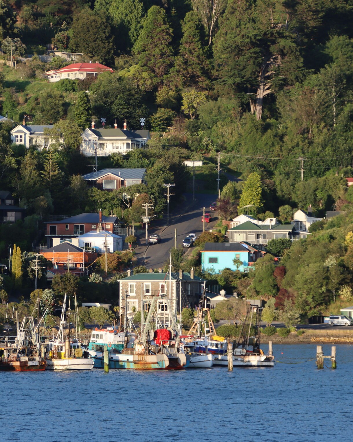 Fishing boats docked at Port Chalmers with colorful hillside houses and lush green trees rising above the waterfront.