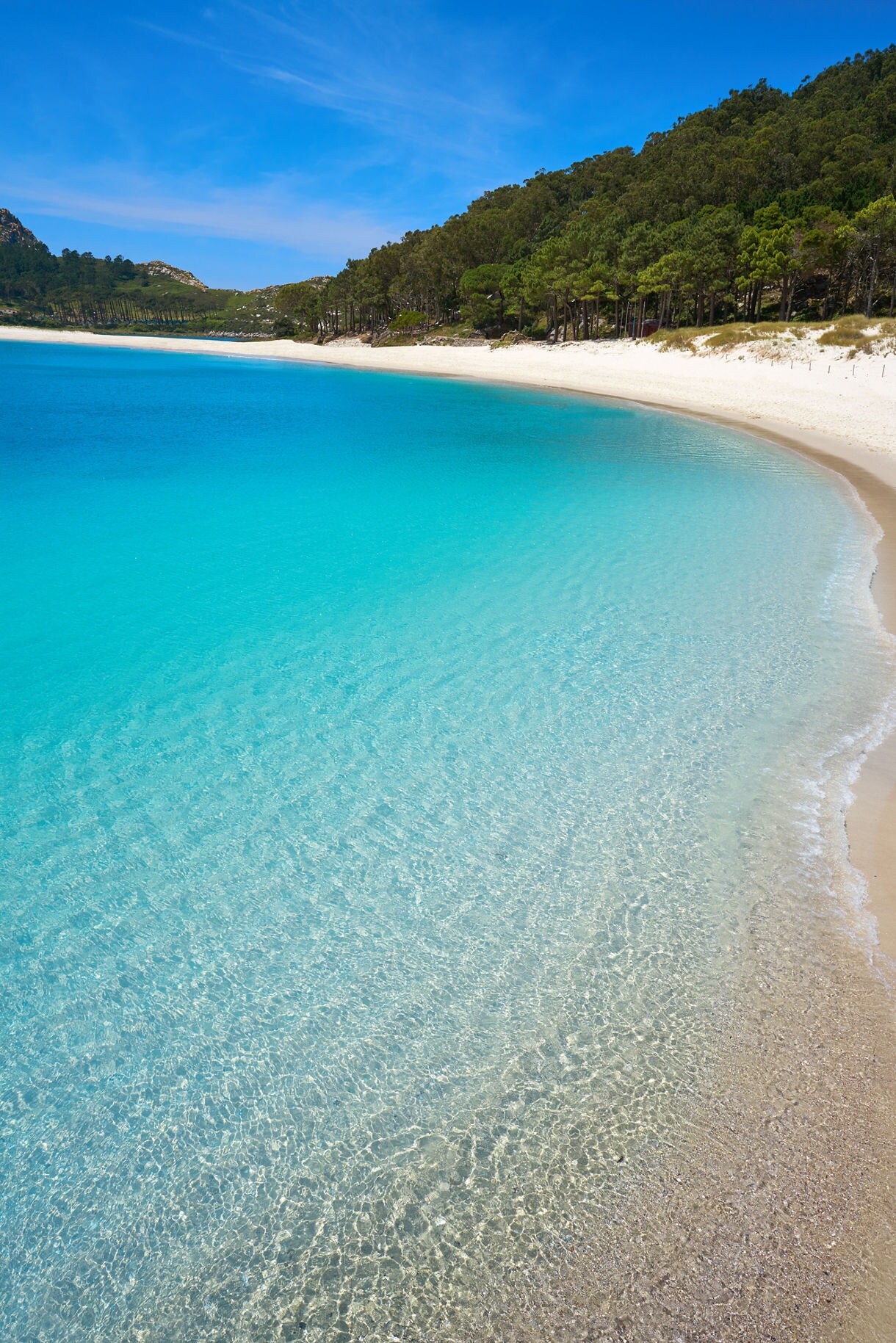 Shallow turquoise water gently washing onto a wide white-sand beach bordered by green pine forest under a bright blue sky.