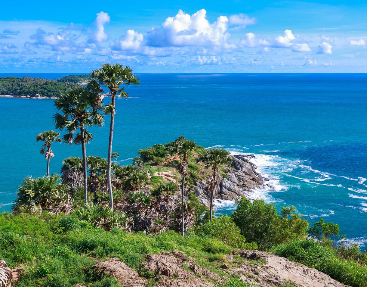 Promthep Cape viewpoint in Phuket with tall palm trees overlooking rocky cliffs and the vast blue Andaman Sea.