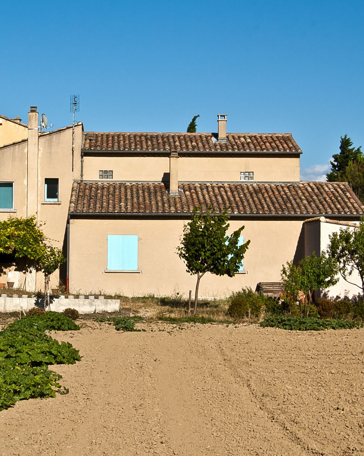 A traditional Provençal farmhouse with tan walls, blue shutters and tiled roofs facing a cultivated field and rows of green crops under a bright blue sky.