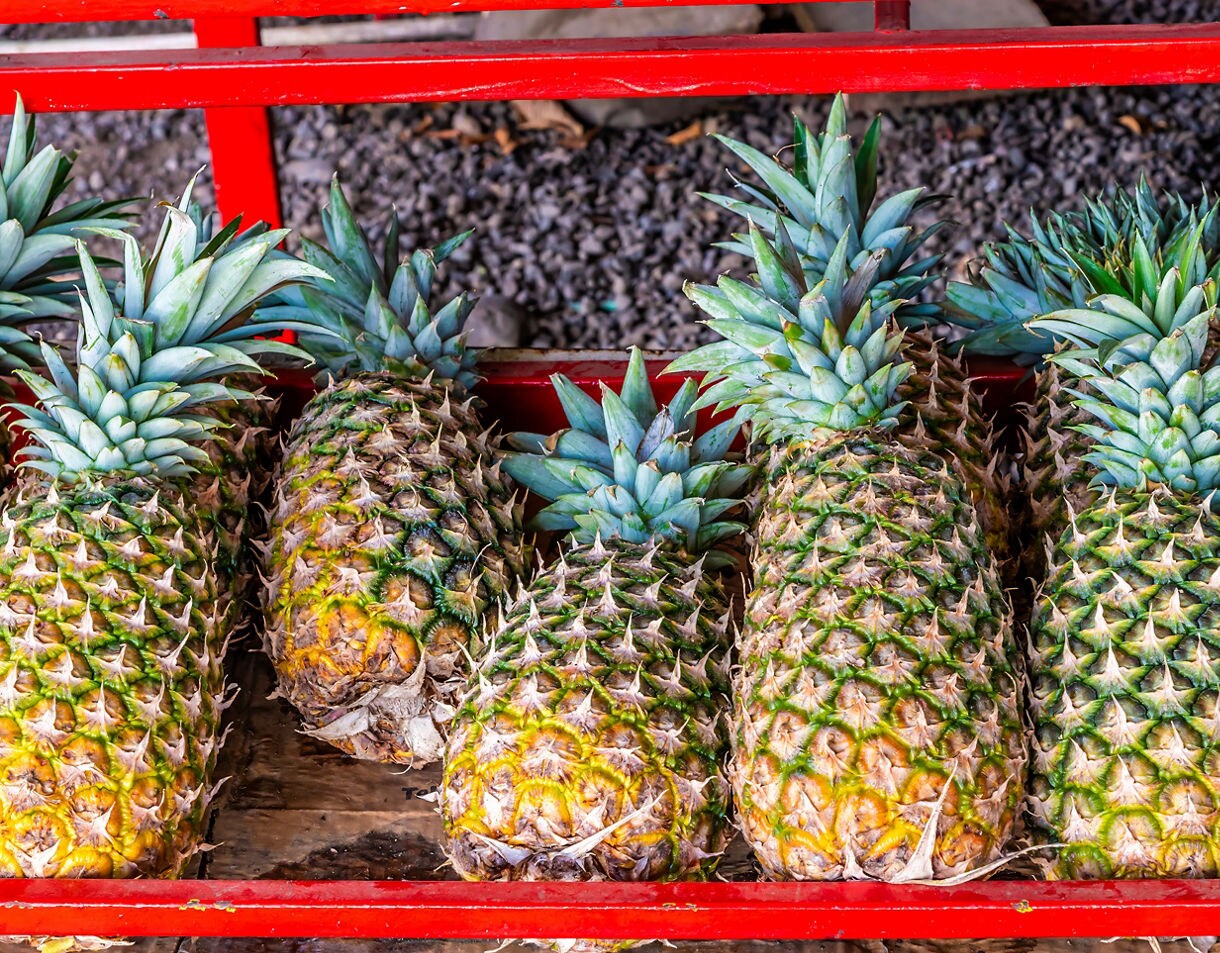 A close-up of ripe pineapples with spiky green tops arranged in a red wooden cart.