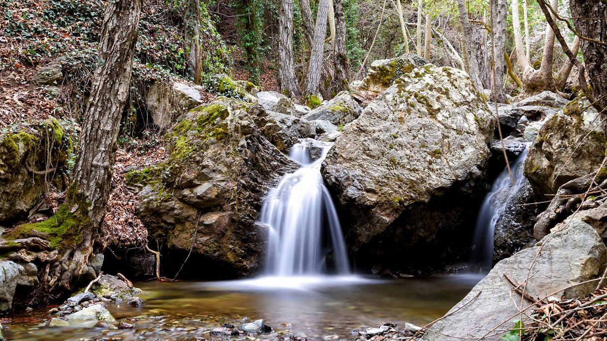 Kalidonia Nature Hike