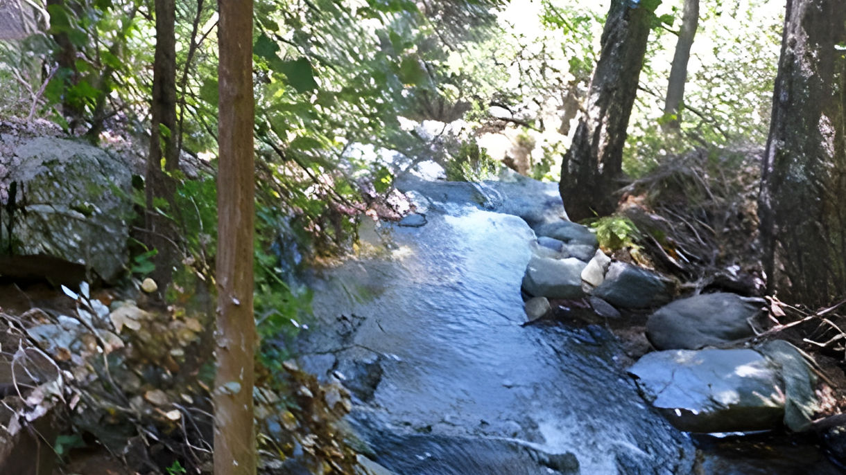 Kalidonia Nature Hike