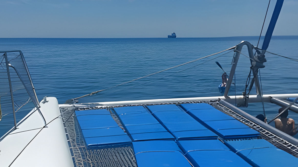 Sun & Sea Catamaran Cruise