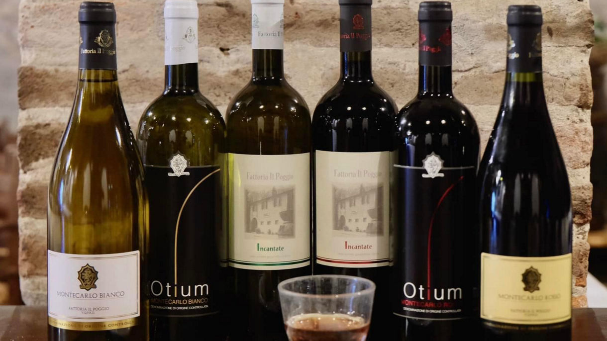 TUSCAN COUNTRYSIDE & WINE TASTING