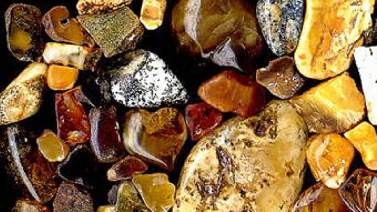 Gdansk & Amber Exhibit