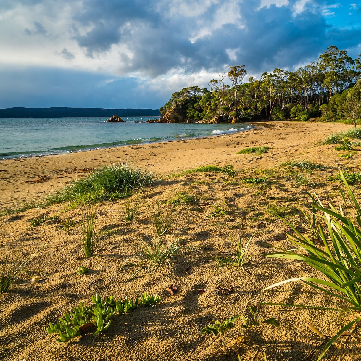 A tranquil sandy beach at Quarantine Bay with scattered grasses, calm blue water and a backdrop of tall coastal trees under a partly cloudy sky.