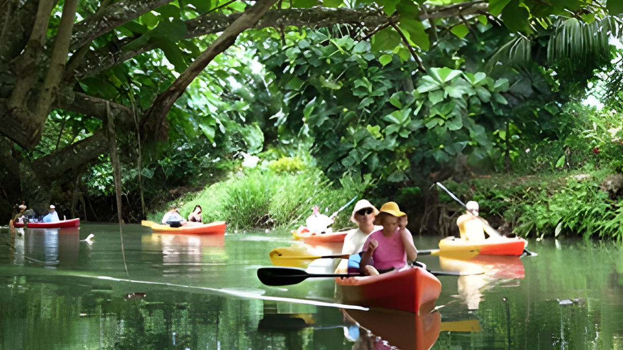Kayak the Faaroa River