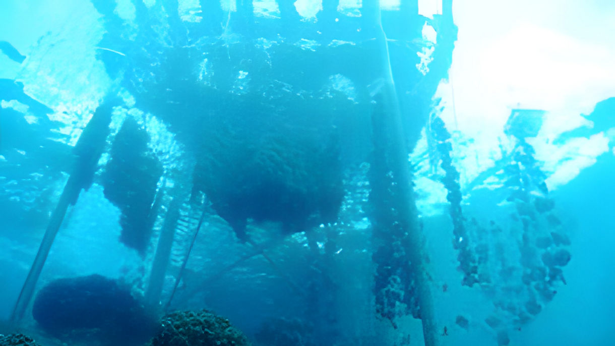 Anapa Pearl Farm Reef House & Snorkel
