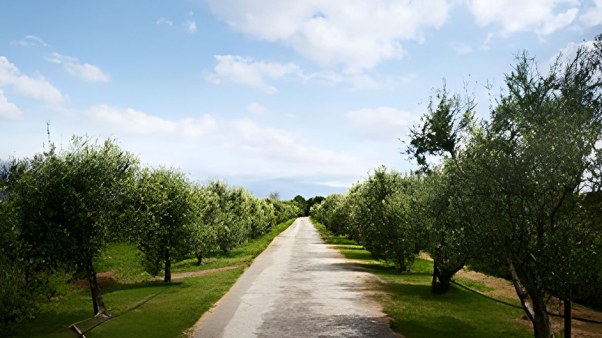 Local Connections: Pasta Making & Lunch at Local Farmhouse: Meet the Cedrini Family