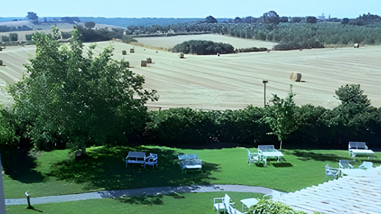 Etruscan Countryside & Olive Oil Tasting