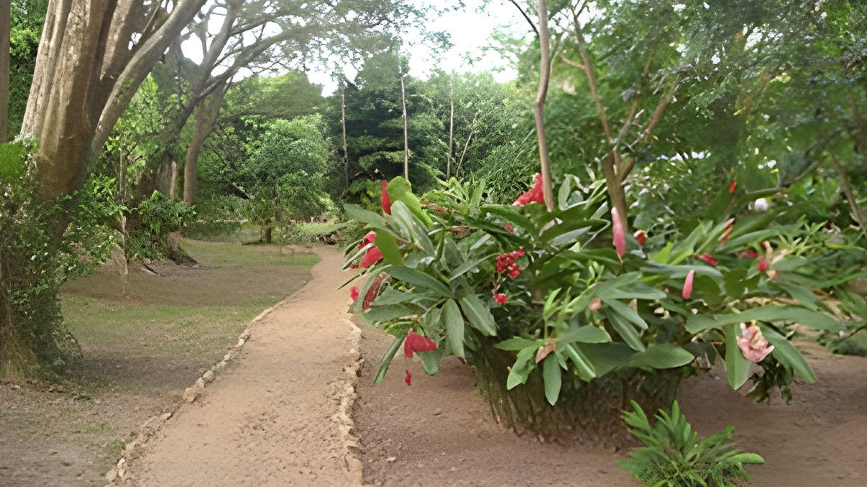 Roatan Island Tour, Caribbean Park & Beach Break