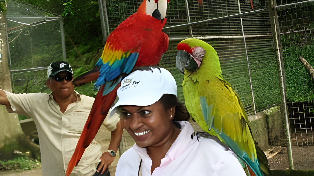 Gumbalimba Preservation Nature Park & Tabyana Beach
