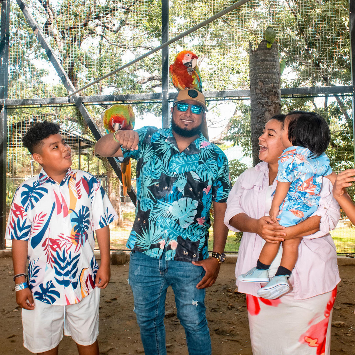 Discover Roatan – Monkeys, Sloths & Macaws (Wheelchair Accessible)