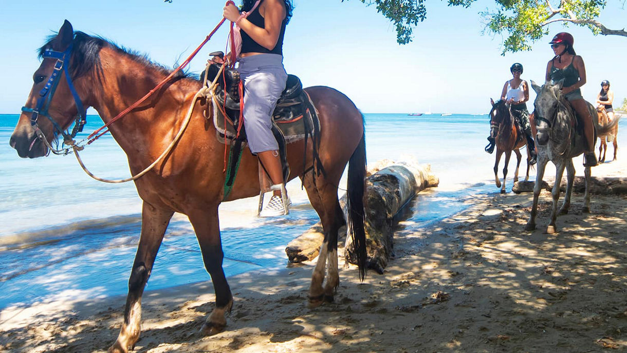 Beach Horseback Ride & Swim