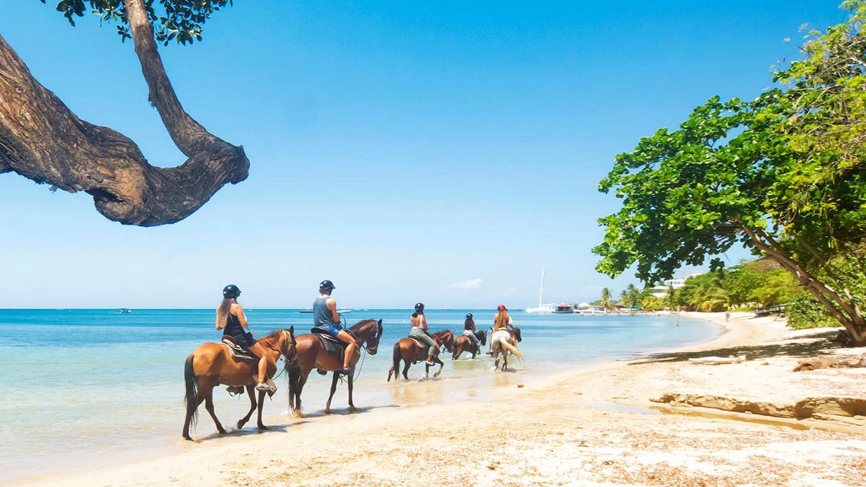 Beach Horseback Ride & Swim