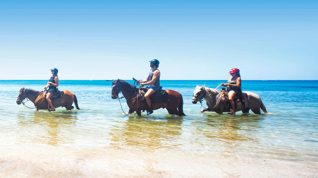 Beach Horseback Ride & Swim