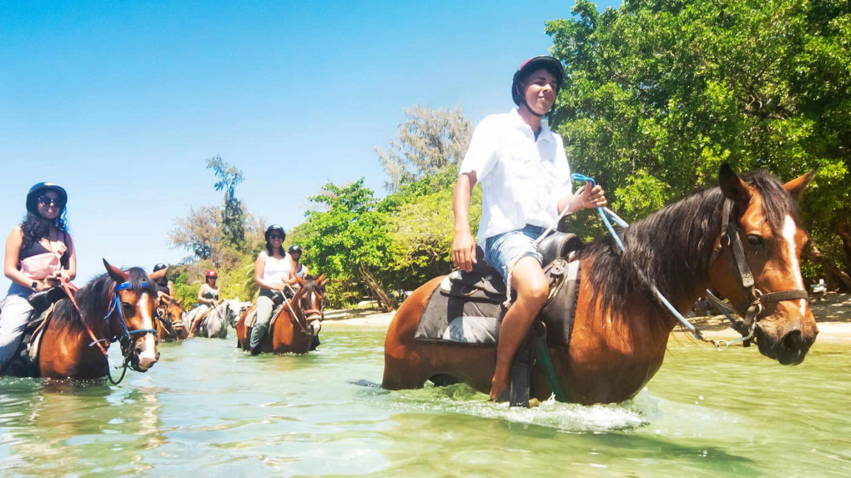 Beach Horseback Ride & Swim