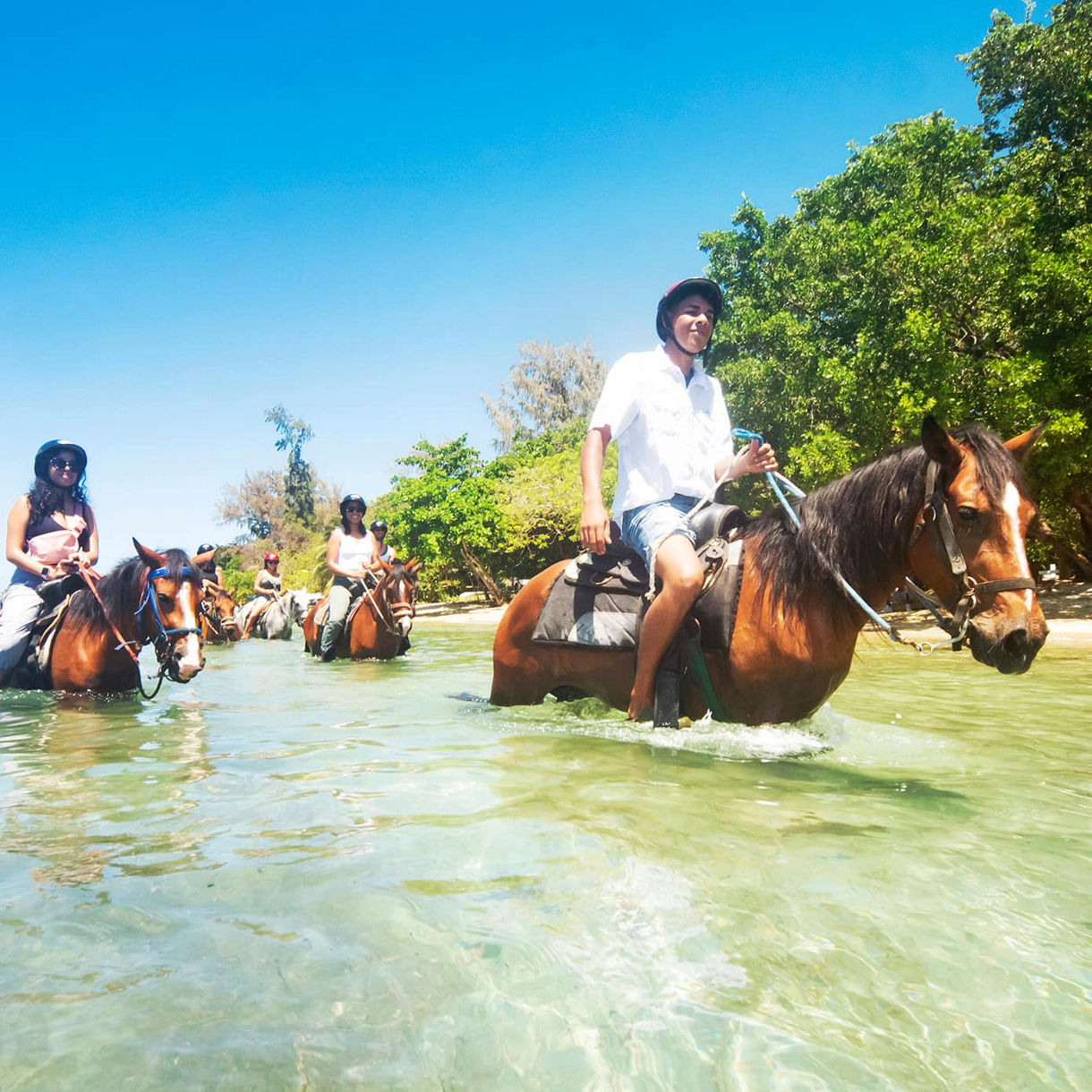 Beach Horseback Ride & Swim