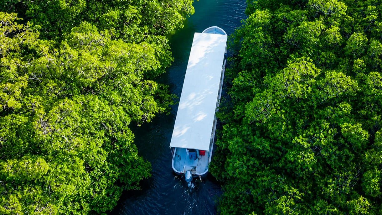 Mangrove Canal Experience & Seafood Boil