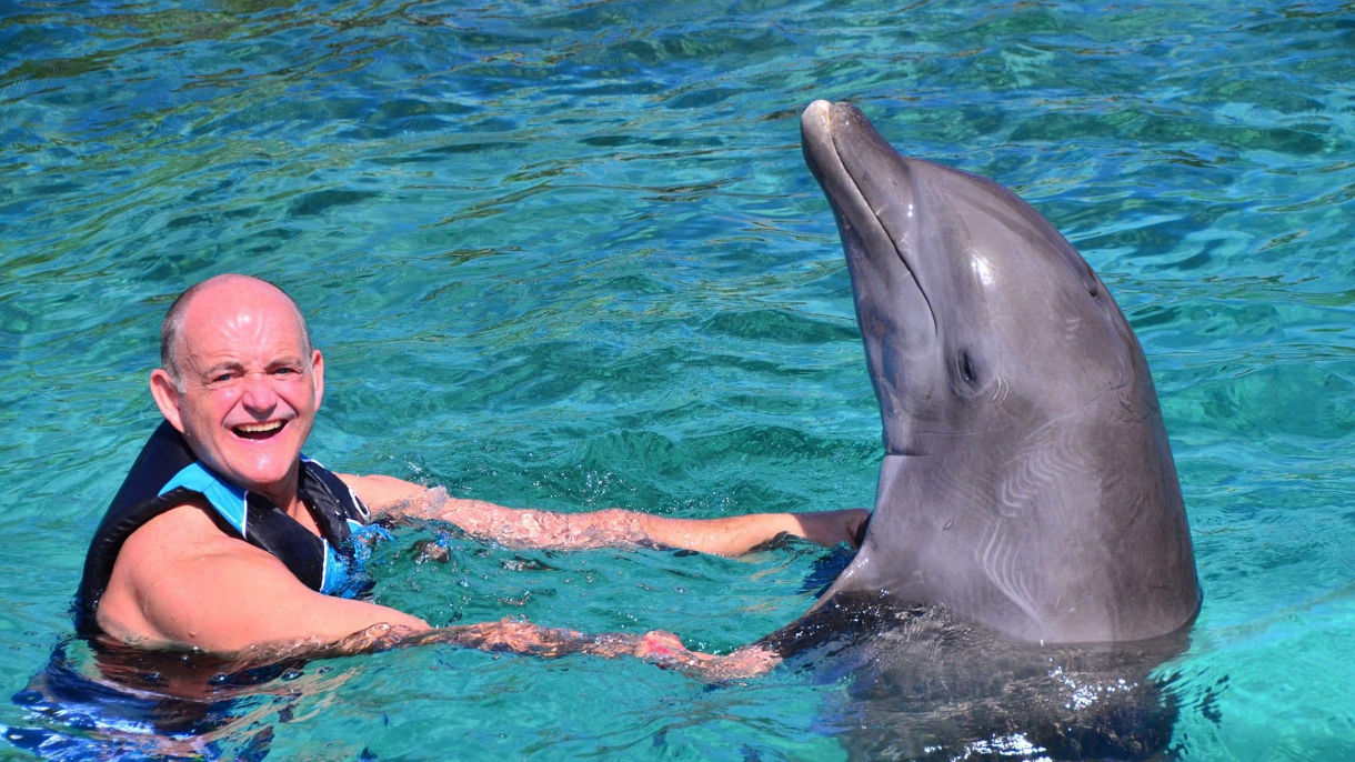 Dolphin Swim & Snorkel
