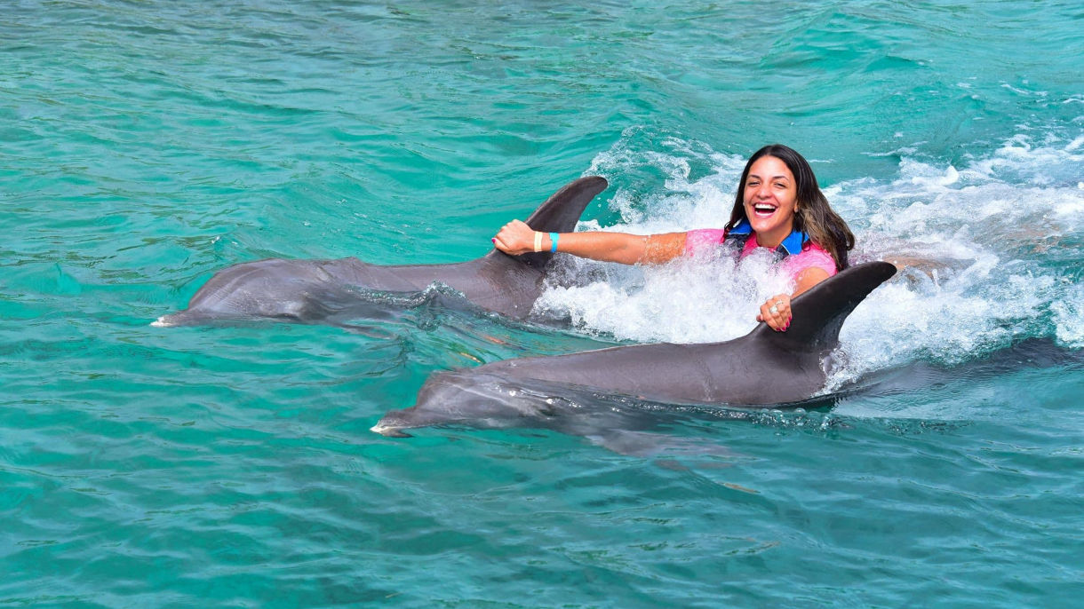 Dolphin Swim & Snorkel