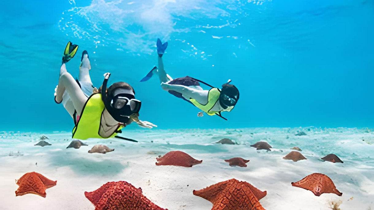 Power Snorkel Experience & Beach