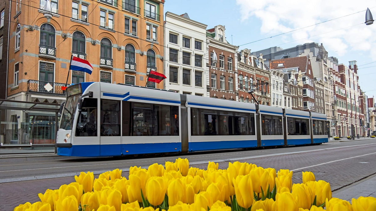 Rotterdam by Authentic Tram