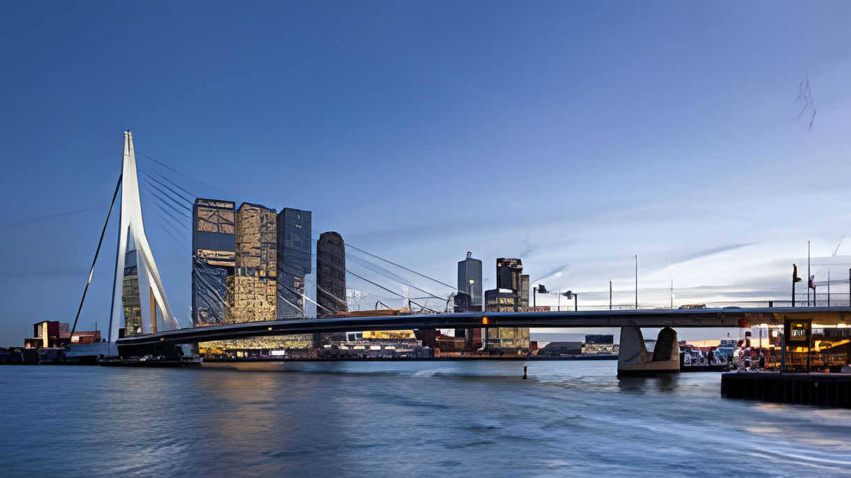 Rotterdam by Private Vehicle - Van Class Full Day (With Guide)