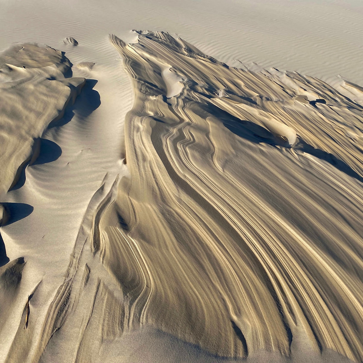 Close-up of rippling wind-sculpted sand patterns at Råbjerg Mile dune near Skagen, Denmark.