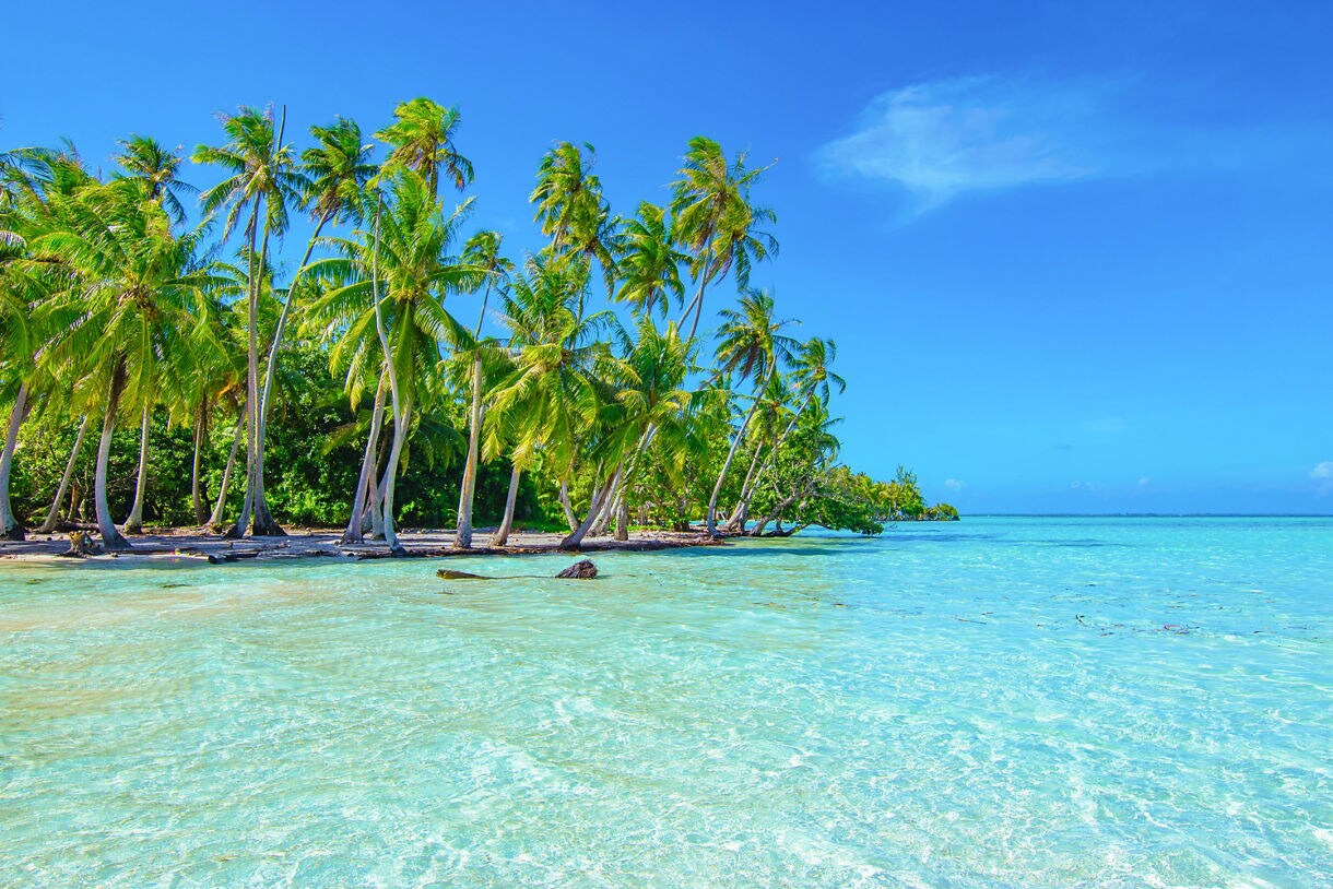 Crystal-clear lagoon and leaning palm trees on a sunny tropical beach in Raiatea, French Polynesia.