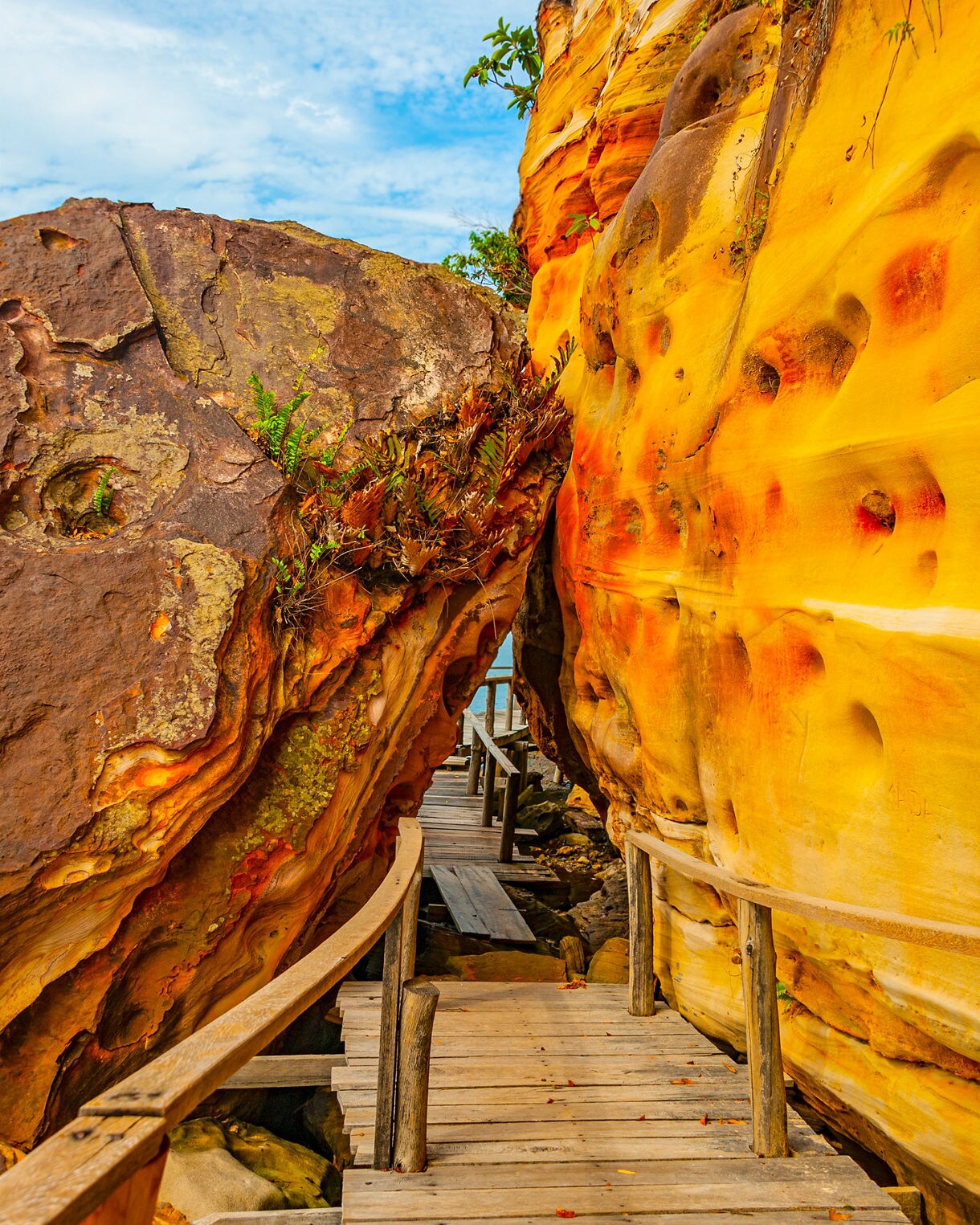 Narrow wooden walkway winds between vivid yellow and orange sandstone walls with plants growing from the rock.