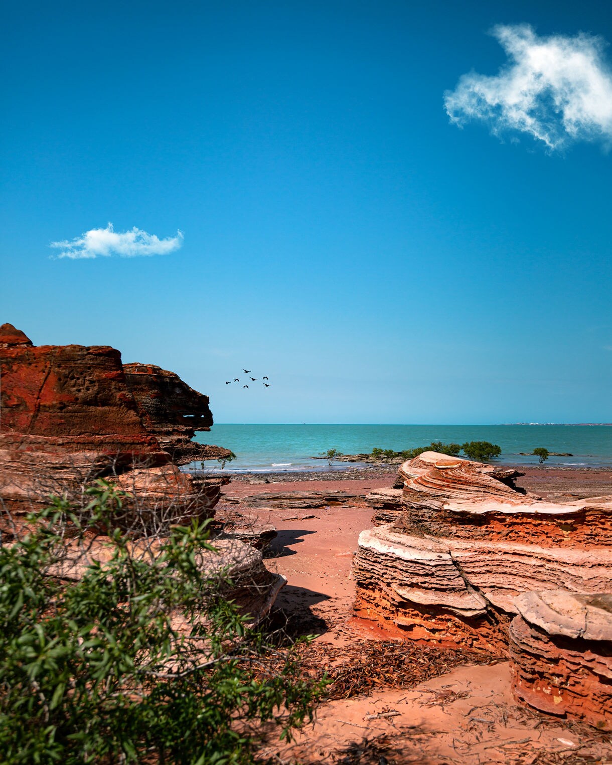 Layered red rock formations near a turquoise shoreline with birds flying overhead.