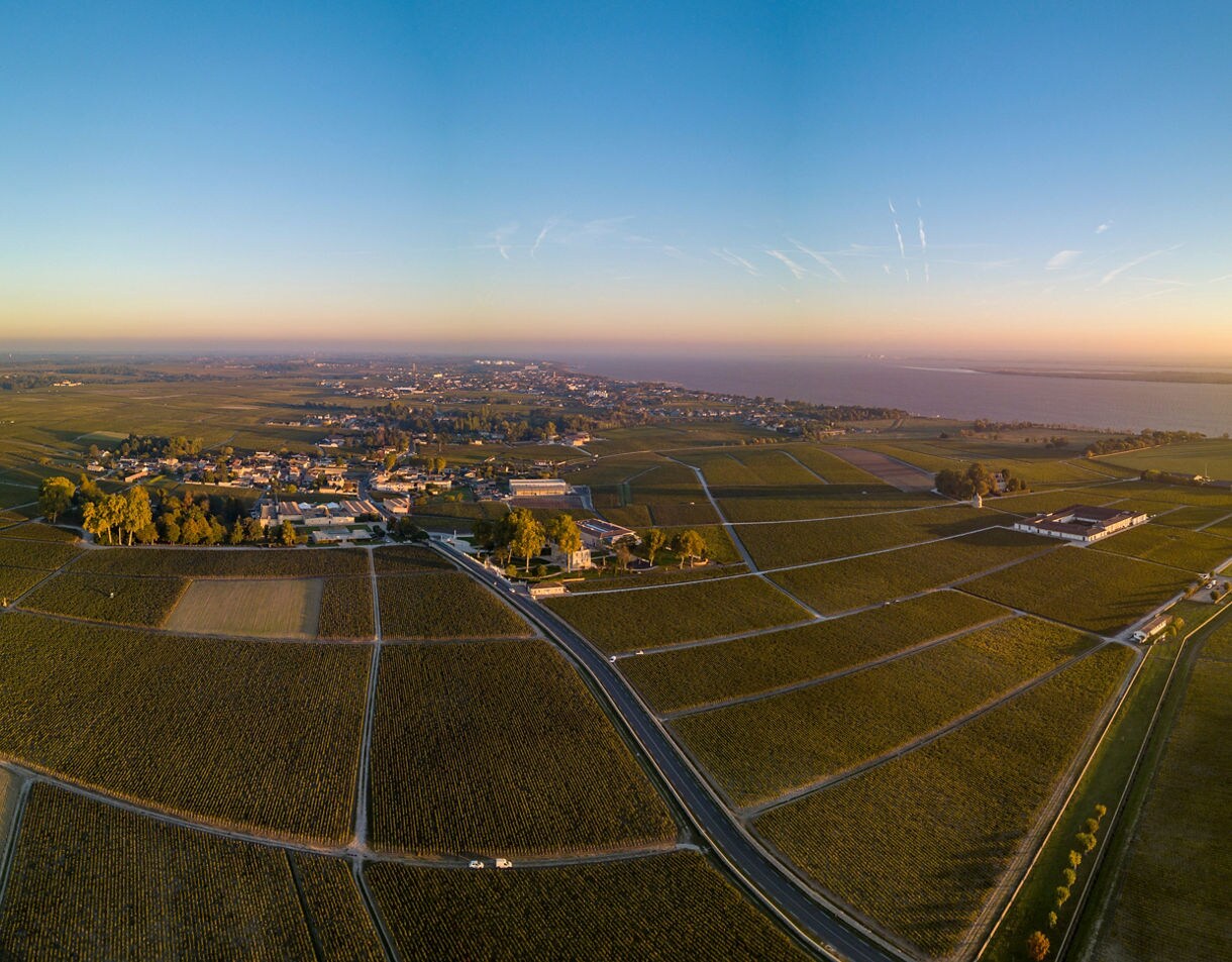  A wide aerial view of Bordeaux vineyards at sunset, showing neat rows of grapevines, small farm buildings and a river stretching along the horizon.