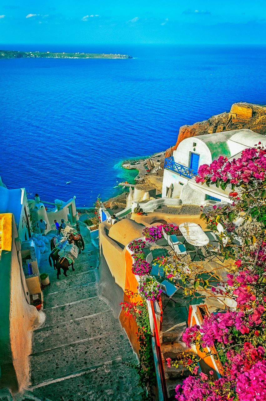 White Santorini buildings, bougainvillea, donkeys on a stone staircase, and the sea.