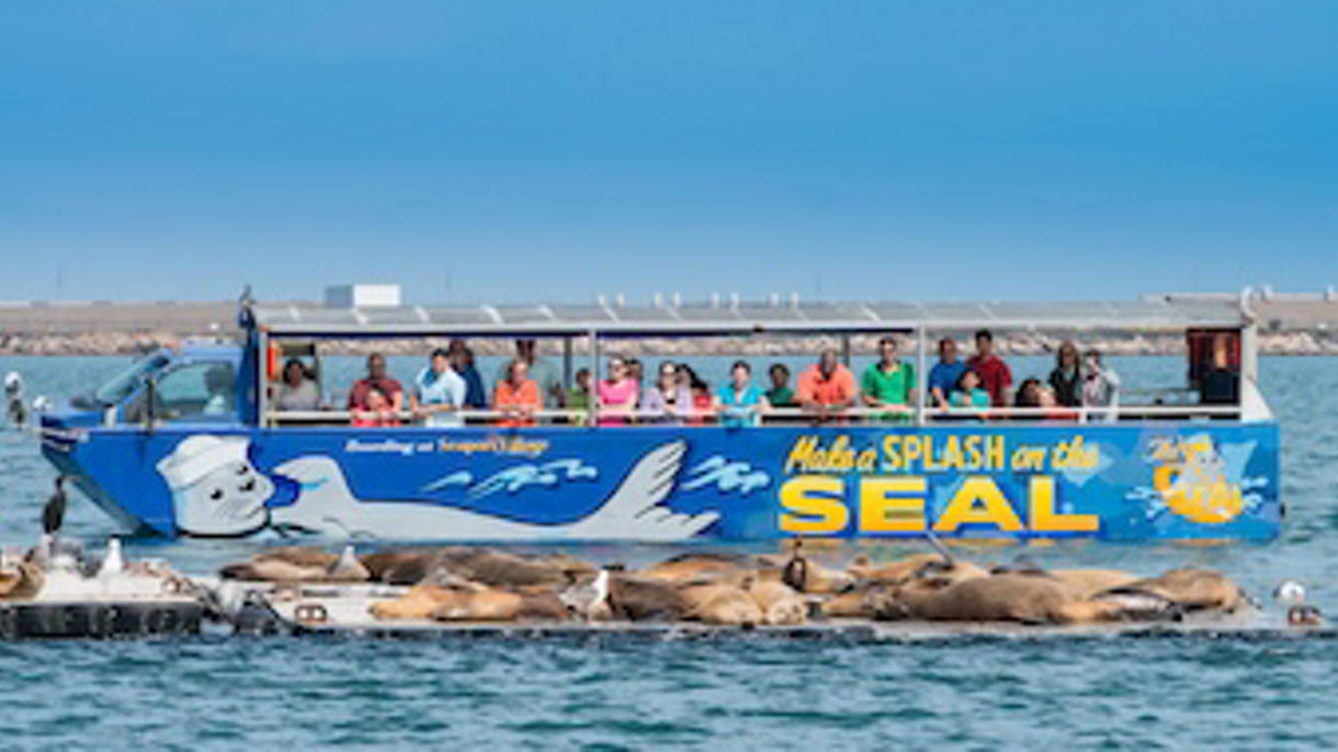 The San Diego Seal