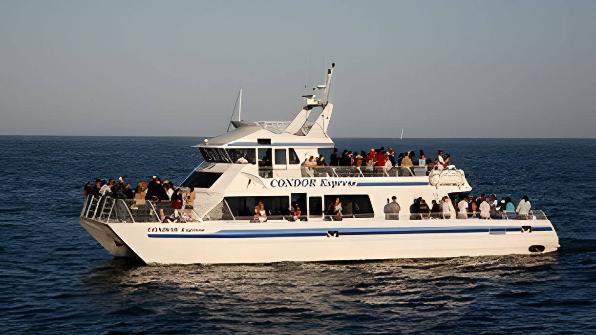 Coastal Whale Watching