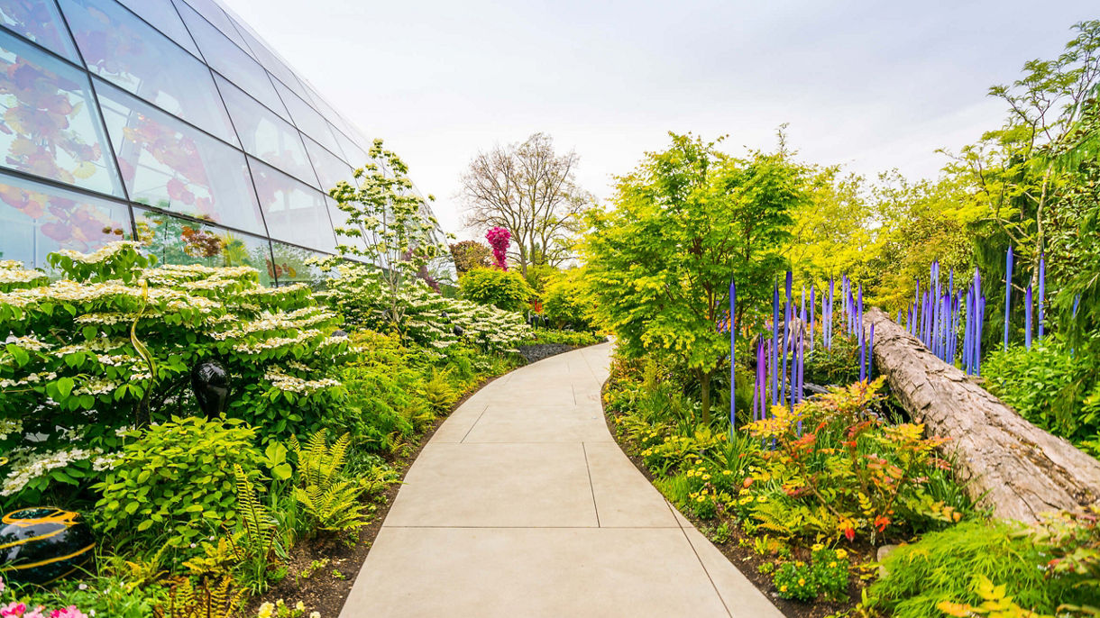 Space Needle & Chihuly Garden and Glass