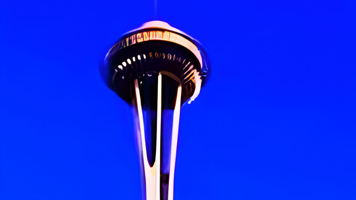 Best of Seattle: Space Needle, Pike Place Market & Cruise (Partially Accessible)