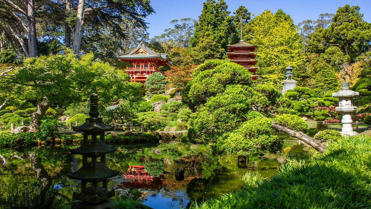Traditional Japanese Tea & Gardens