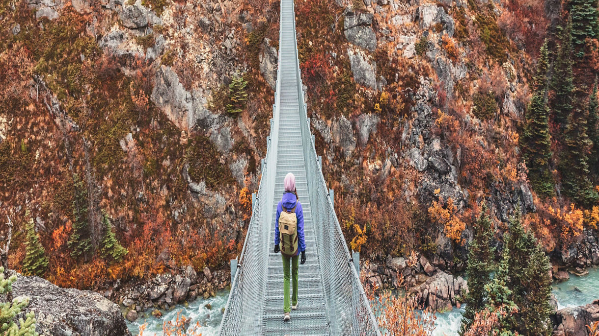 Rail, Summit & Suspension Bridge with Brunch