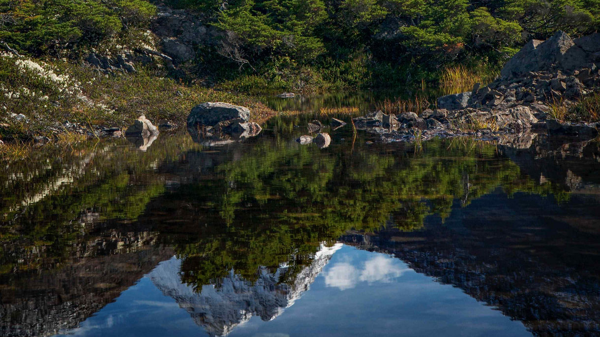 Skagway in Focus Photography Tour