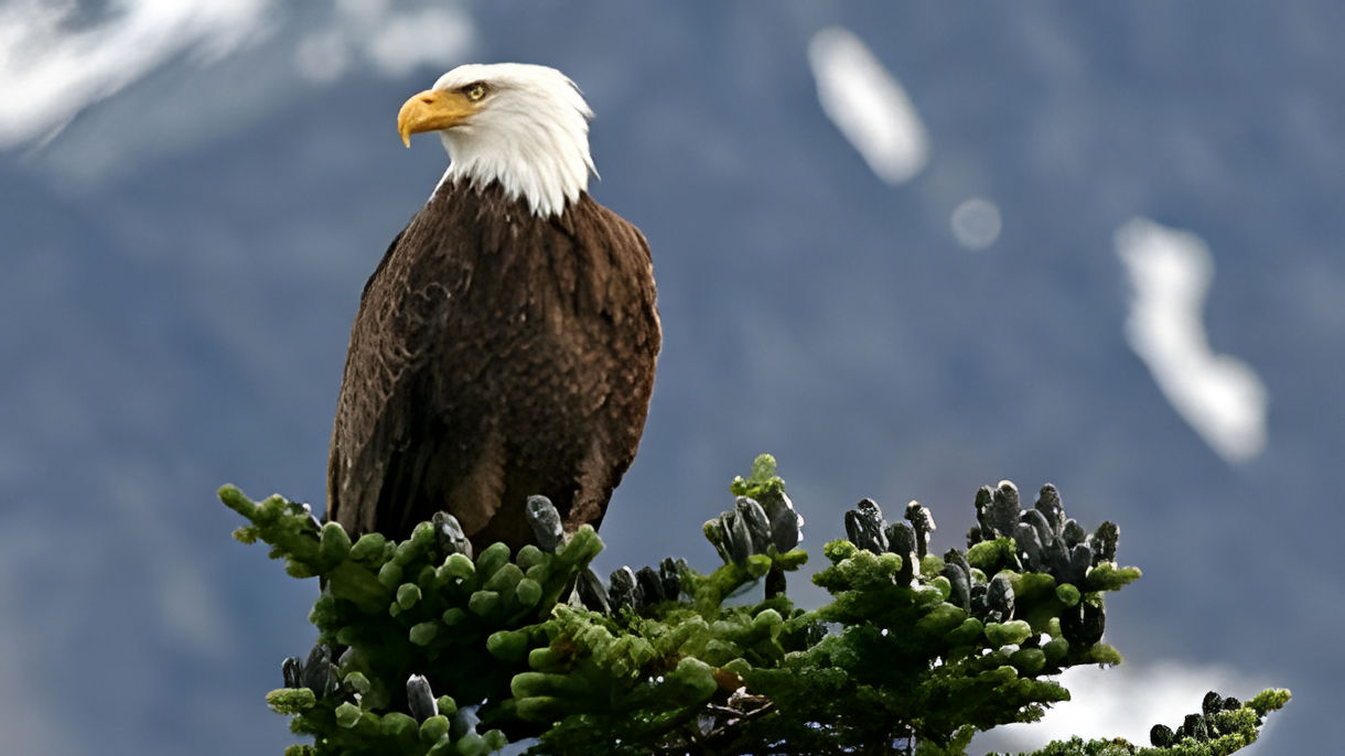 Skagway in Focus Photography Tour